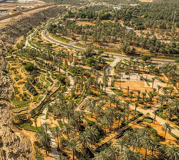 Aerial view of green spaces and paths in Wadi Hanifah